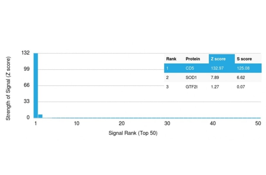 Protein Array - Anti-CD5 Antibody [CD5/2416] - BSA and Azide free (A253713) - Antibodies.com