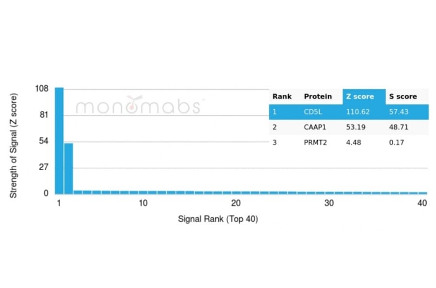 Protein Array - Anti-CD5L Antibody [CD5L/2991] - BSA and Azide free (A253716) - Antibodies.com