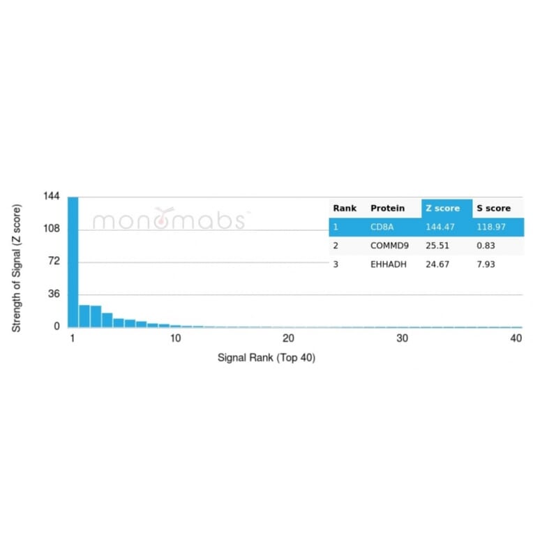 Protein Array - Anti-CD8A Antibody [CD8/4391R] - BSA and Azide free (A253742) - Antibodies.com