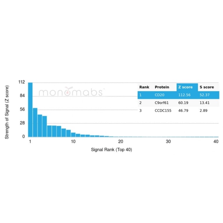 Protein Array - Anti-CD20 Antibody [rIGEL/773] - BSA and Azide free (A253777) - Antibodies.com