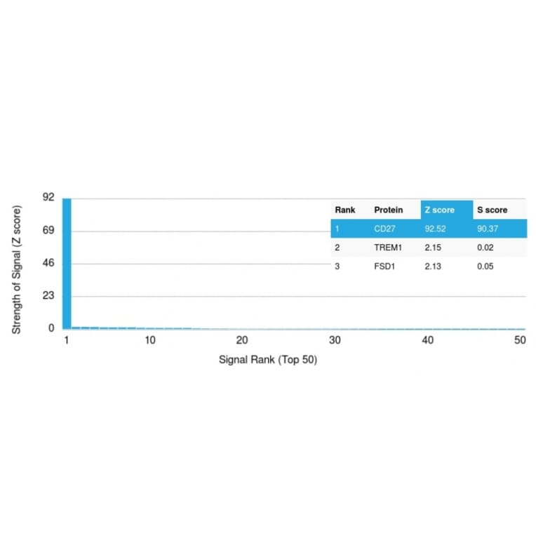 Protein Array - Anti-CD27 Antibody [LPFS2/1611] - BSA and Azide free (A253798) - Antibodies.com