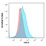 Flow Cytometry - Anti-CD28 Antibody [C28/75] - BSA and Azide free (A253809) - Antibodies.com