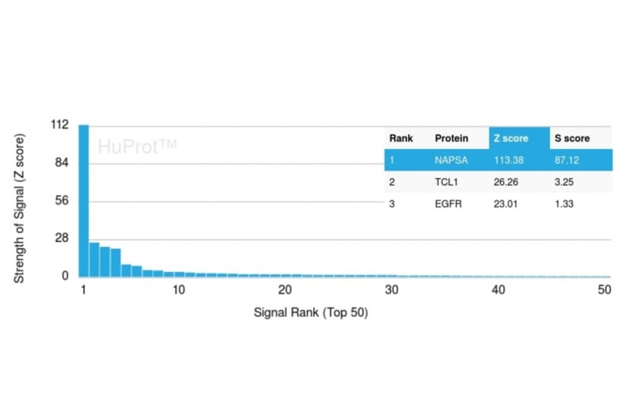 Protein Array - Anti-NAPSIN A Antibody [NAPSA/3309] - BSA and Azide free (A253845) - Antibodies.com