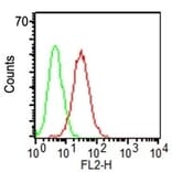 Flow Cytometry - Anti-CD34 Antibody [ICO-115] - BSA and Azide free (A253855) - Antibodies.com
