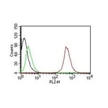 Flow Cytometry - Anti-CD63 Antibody [NKI/C3] - BSA and Azide free (A253925) - Antibodies.com