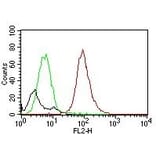 Flow Cytometry - Anti-CD63 Antibody [MX-49.129.5] - BSA and Azide free (A253927) - Antibodies.com