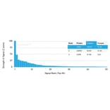 Protein Array - Anti-CD63 Antibody [rMX-49.129.5] - BSA and Azide free (A253931) - Antibodies.com