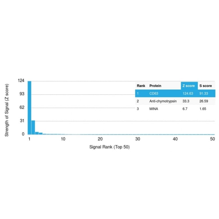 Protein Array - Anti-CD63 Antibody [LAMP3/2788] - BSA and Azide free (A253932) - Antibodies.com