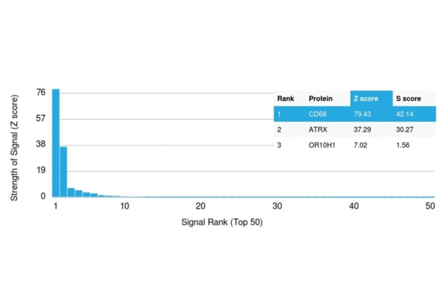 Protein Array - Anti-CD68 Antibody [LAMP4/1830] - BSA and Azide free (A253942) - Antibodies.com