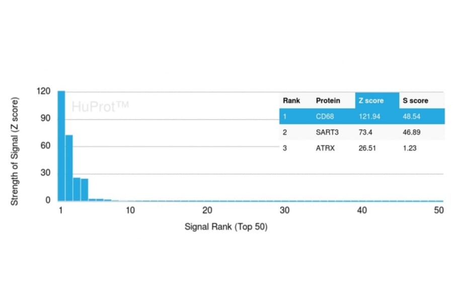 Protein Array - Anti-CD68 Antibody [C68/2511] - BSA and Azide free (A253944) - Antibodies.com
