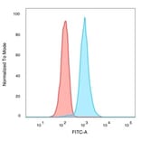 Flow Cytometry - Anti-CREB5 Antibody [PCRP-CREB5-1G8] - BSA and Azide free (A253989) - Antibodies.com