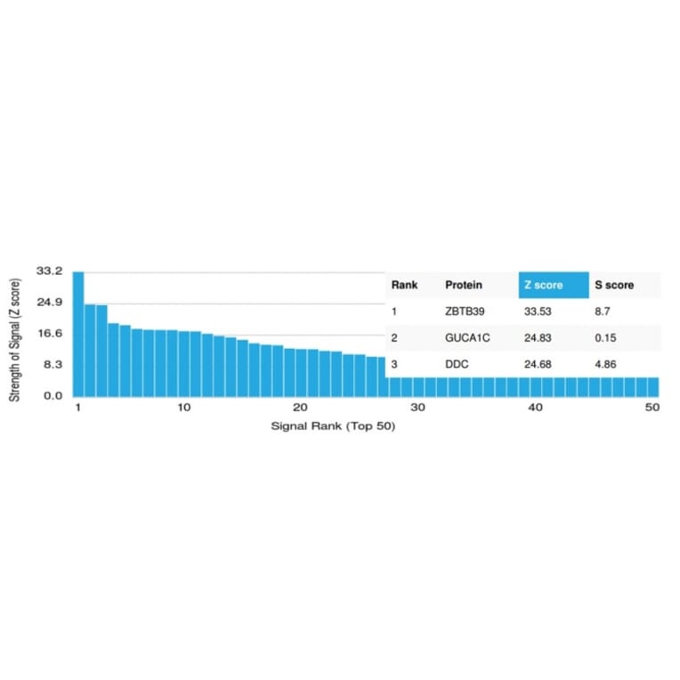 Protein Array - Anti-ZBTB39 Antibody [PCRP-ZBTB39-1A11] - BSA and Azide free (A253989) - Antibodies.com