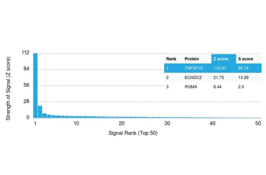Protein Array - Anti-TNFS15 Antibody [rVEGI/1283] - BSA and Azide free (A250819) - Antibodies.com
