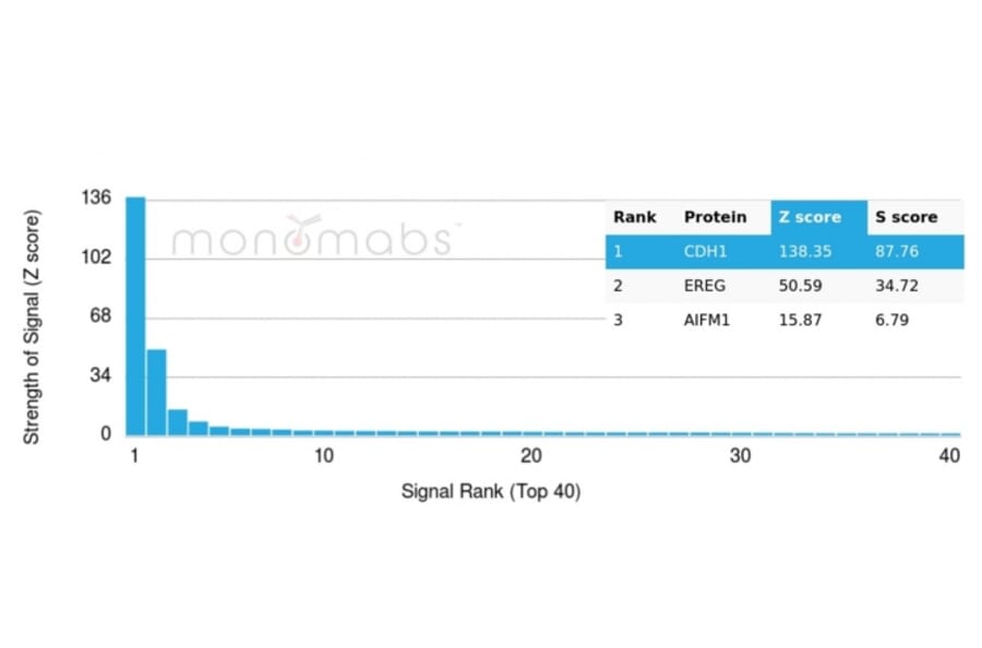 Protein Array - Anti-E Cadherin Antibody [CDH1/4585] - BSA and Azide free (A254002) - Antibodies.com