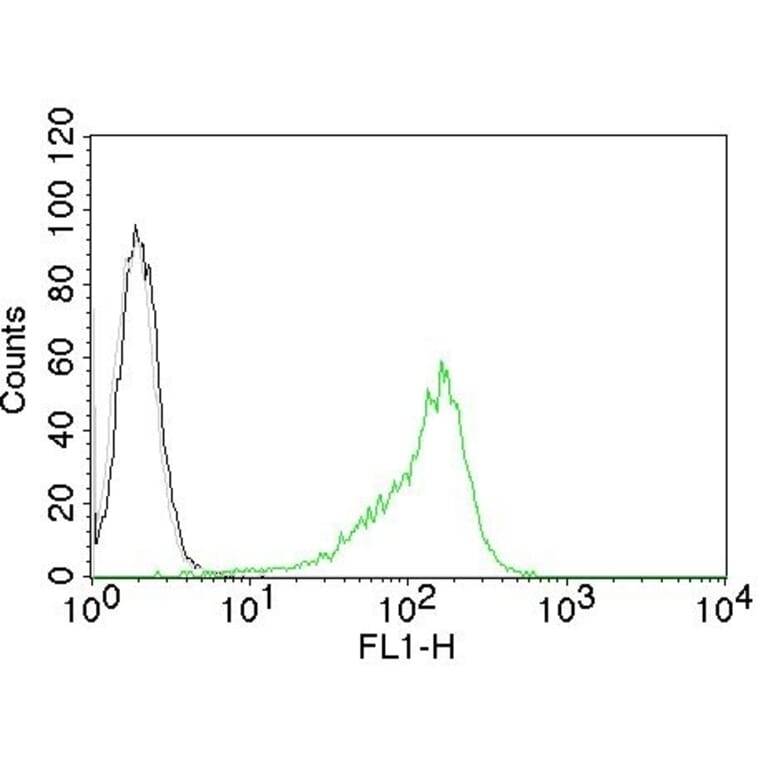 Flow Cytometry - Anti-Human Nucleolar Antigen Antibody [NM95] - BSA and Azide free (A254119) - Antibodies.com