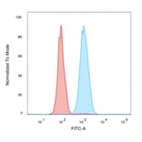 Flow Cytometry - Anti-Human Nuclear Antigen Antibody [235-1] - BSA and Azide free (A254146) - Antibodies.com