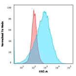 Flow Cytometry - Anti-CD20 Antibody [SPM494] (A254285) - Antibodies.com