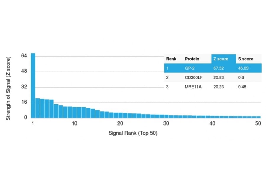 Protein Array - Anti-Glycoprotein 2 Antibody [GP2/1803] - BSA and Azide free (A254315) - Antibodies.com