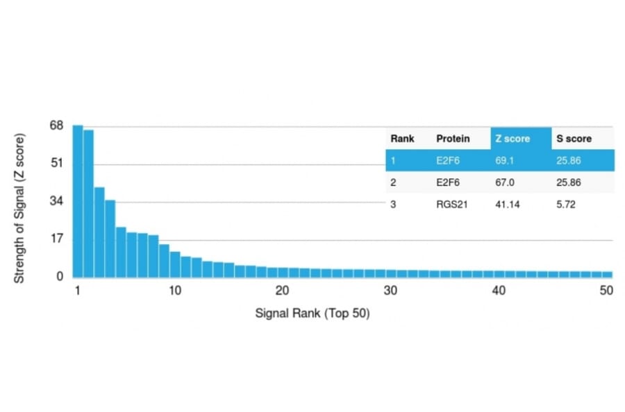 Protein Array - Anti-E2F6 Antibody [PCRP-E2F6-1F8] (A254376) - Antibodies.com