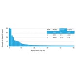 Protein Array - Anti-E2F6 Antibody [PCRP-E2F6-1F8] (A254376) - Antibodies.com