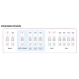 Test Kit Results - Influenza / COVID-19 Antigen Rapid Test Kit (A254380) - Antibodies.com