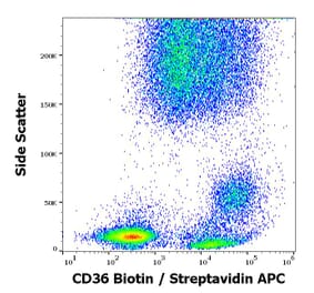 Flow Cytometry - Anti-CD36 Antibody [TR9] (Biotin) (A254404) - Antibodies.com