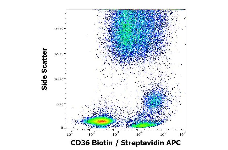 Flow Cytometry - Anti-CD36 Antibody [TR9] (Biotin) (A254404) - Antibodies.com