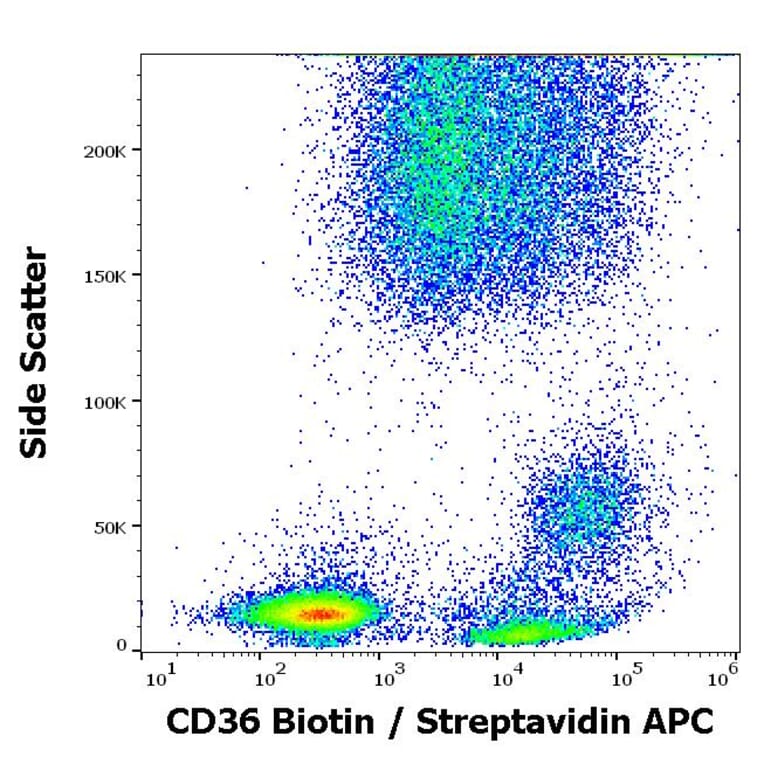 Flow Cytometry - Anti-CD36 Antibody [TR9] (Biotin) (A254404) - Antibodies.com
