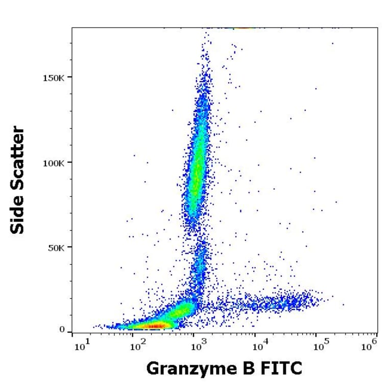 Flow Cytometry - Anti-Granzyme B Antibody [CLB-GB11] (FITC) (A254408) - Antibodies.com