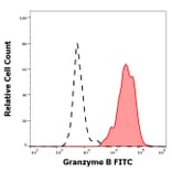 Flow Cytometry - Anti-Granzyme B Antibody [CLB-GB11] (FITC) (A254409) - Antibodies.com