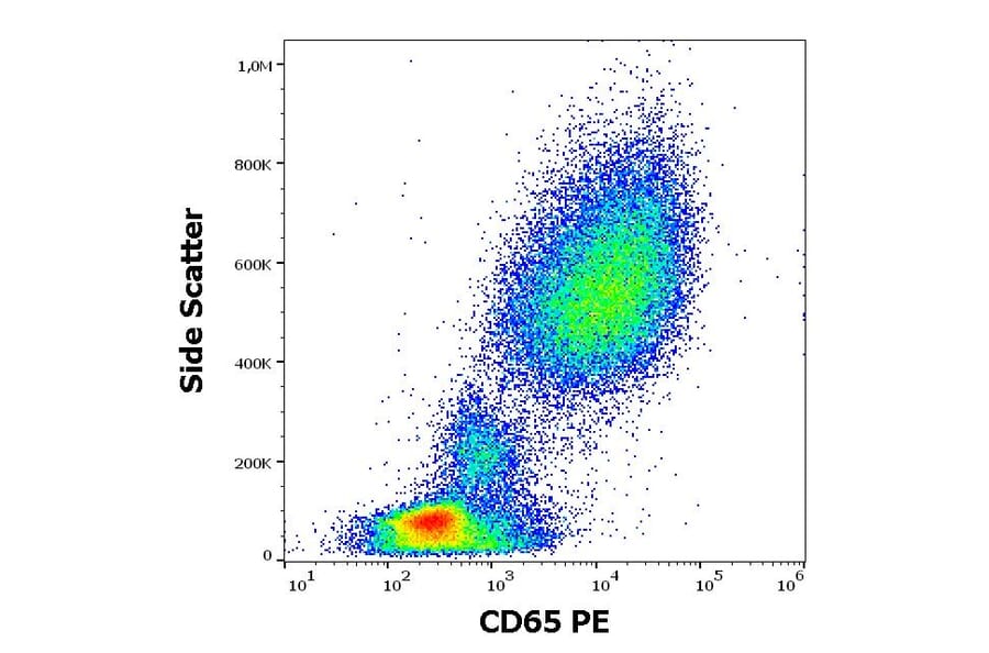 Flow Cytometry - Anti-CD65 Antibody [VIM8] (PE) (A254410) - Antibodies.com