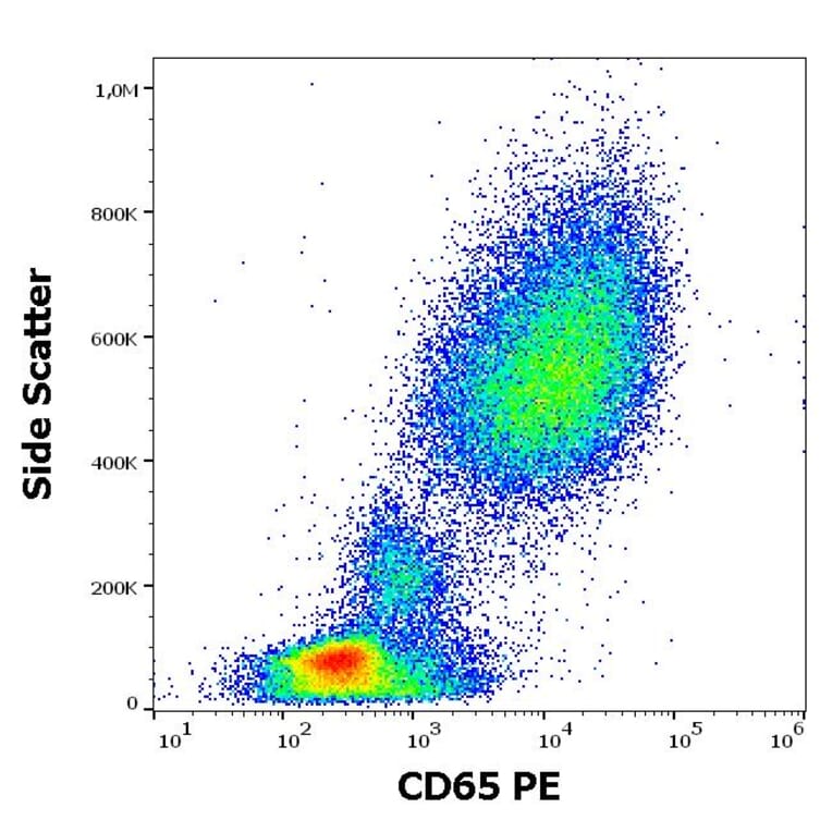 Flow Cytometry - Anti-CD65 Antibody [VIM8] (PE) (A254410) - Antibodies.com