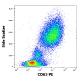 Flow Cytometry - Anti-CD65 Antibody [VIM8] (PE) (A254410) - Antibodies.com