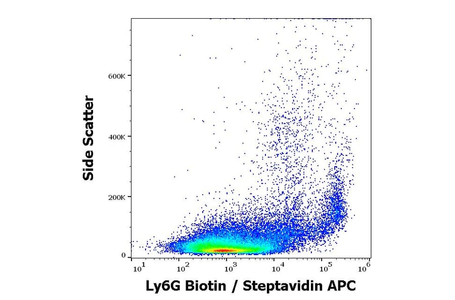 Flow cytometry - Anti-Ly6g Antibody [RB6-8C5] (Biotin) (A254420)