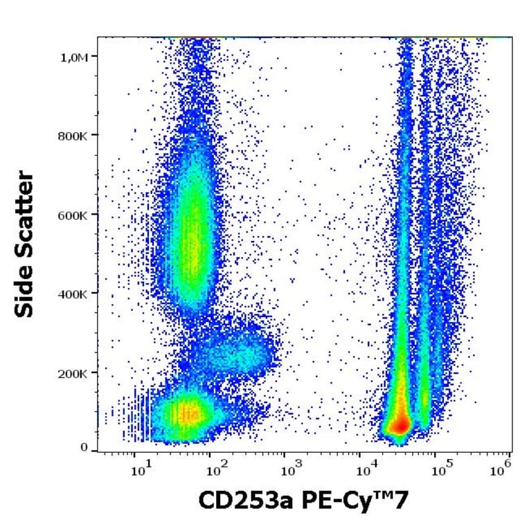 Flow Cytometry - Anti-Glycophorin A Antibody [JC159] (PE-Cyanine 7) (A254421) - Antibodies.com