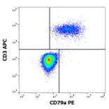 Flow Cytometry - Anti-CD79a Antibody [ZL7.4] (PE) (A254424) - Antibodies.com