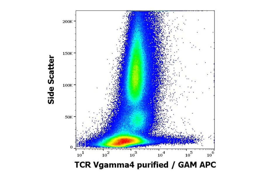 Flow Cytometry - Anti-TCR V gamma 4 Antibody [4A11.904] (A254424) - Antibodies.com