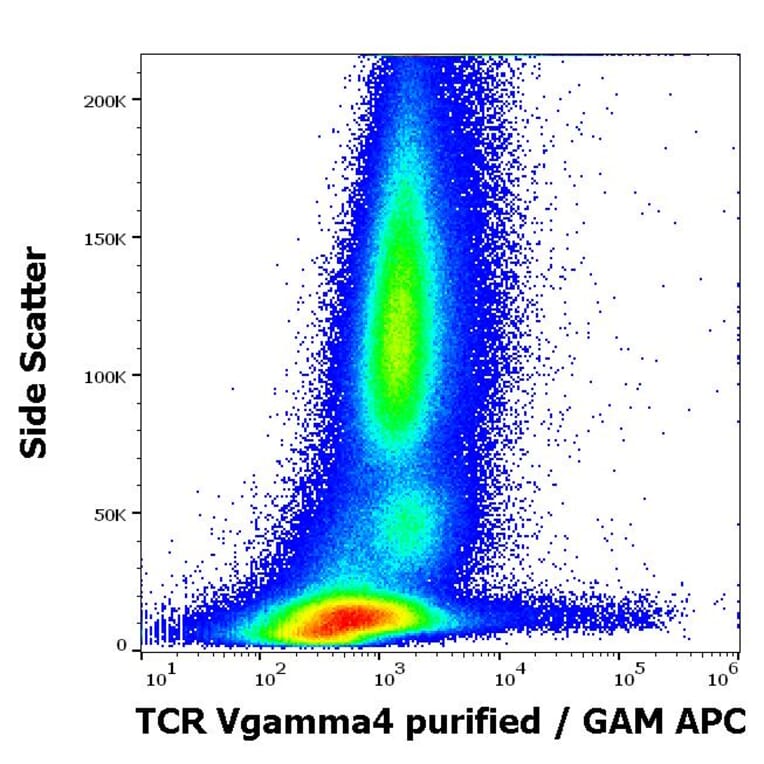Flow Cytometry - Anti-TCR V gamma 4 Antibody [4A11.904] (A254424) - Antibodies.com