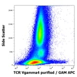 Flow Cytometry - Anti-TCR V gamma 4 Antibody [4A11.904] (A254424) - Antibodies.com