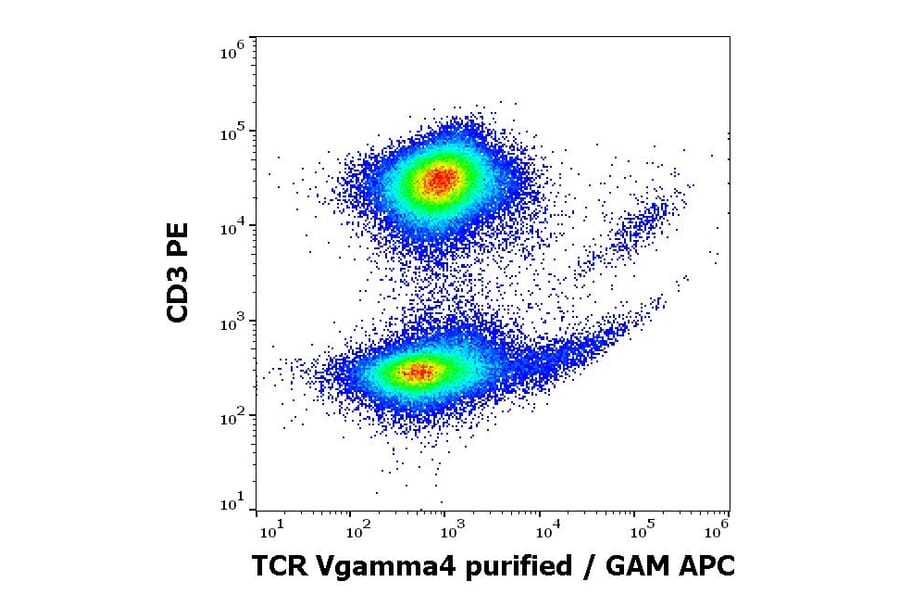 Flow Cytometry - Anti-TCR V gamma 4 Antibody [4A11.904] (A254425) - Antibodies.com