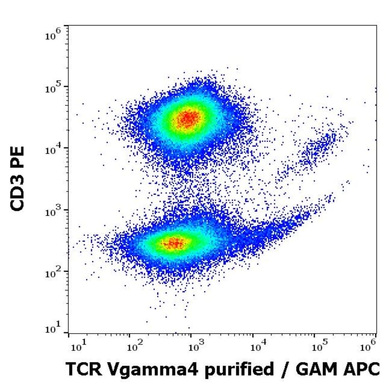 Flow Cytometry - Anti-TCR V gamma 4 Antibody [4A11.904] (A254425) - Antibodies.com