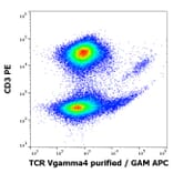 Flow Cytometry - Anti-TCR V gamma 4 Antibody [4A11.904] (A254425) - Antibodies.com