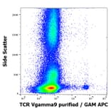 Flow Cytometry - Anti-TCR V gamma 9 Antibody [B3] (A254425) - Antibodies.com