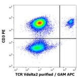 Flow Cytometry - Anti-TCR V delta 2 Antibody [B6] (A254427) - Antibodies.com