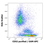Flow Cytometry - Anti-CD52 Antibody [4C8] (A254428) - Antibodies.com
