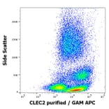Flow Cytometry - Anti-CLEC2 Antibody [AYP1] (A254429) - Antibodies.com