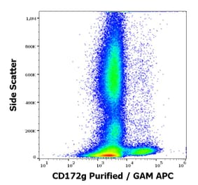 Flow Cytometry - Anti-CD172 gamma Antibody [OX-119] (A254434) - Antibodies.com