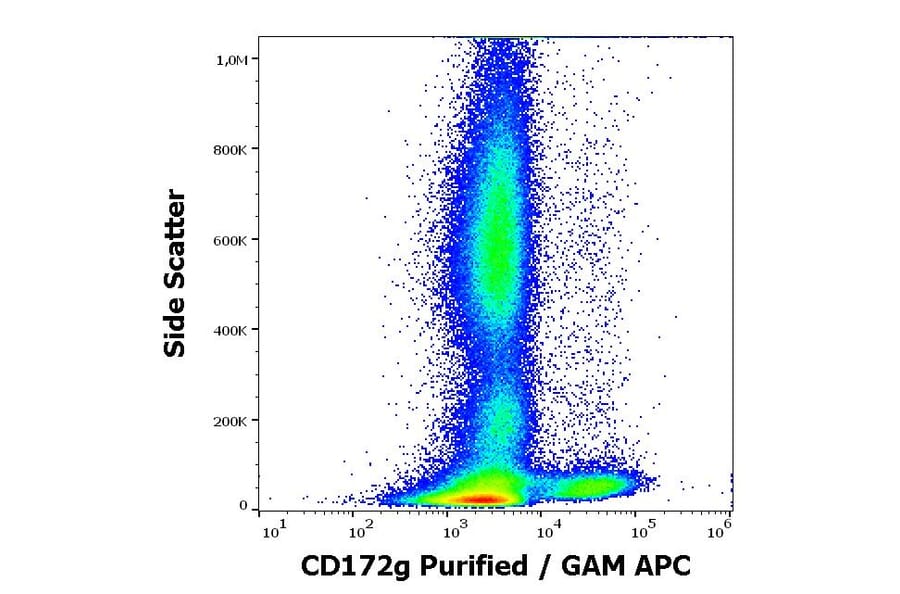 Flow Cytometry - Anti-CD172 gamma Antibody [OX-119] (A254434) - Antibodies.com