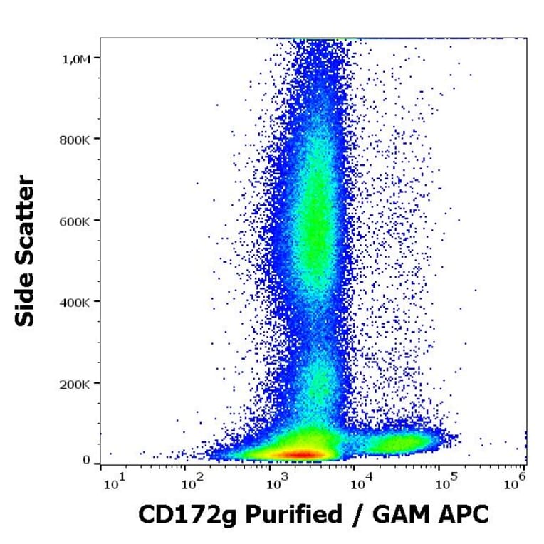 Flow Cytometry - Anti-CD172 gamma Antibody [OX-119] (A254434) - Antibodies.com