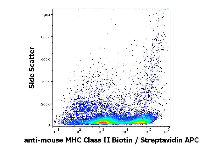 Flow Cytometry - Anti-MHC Class II Antibody [M5/114] (Biotin) (A254437)